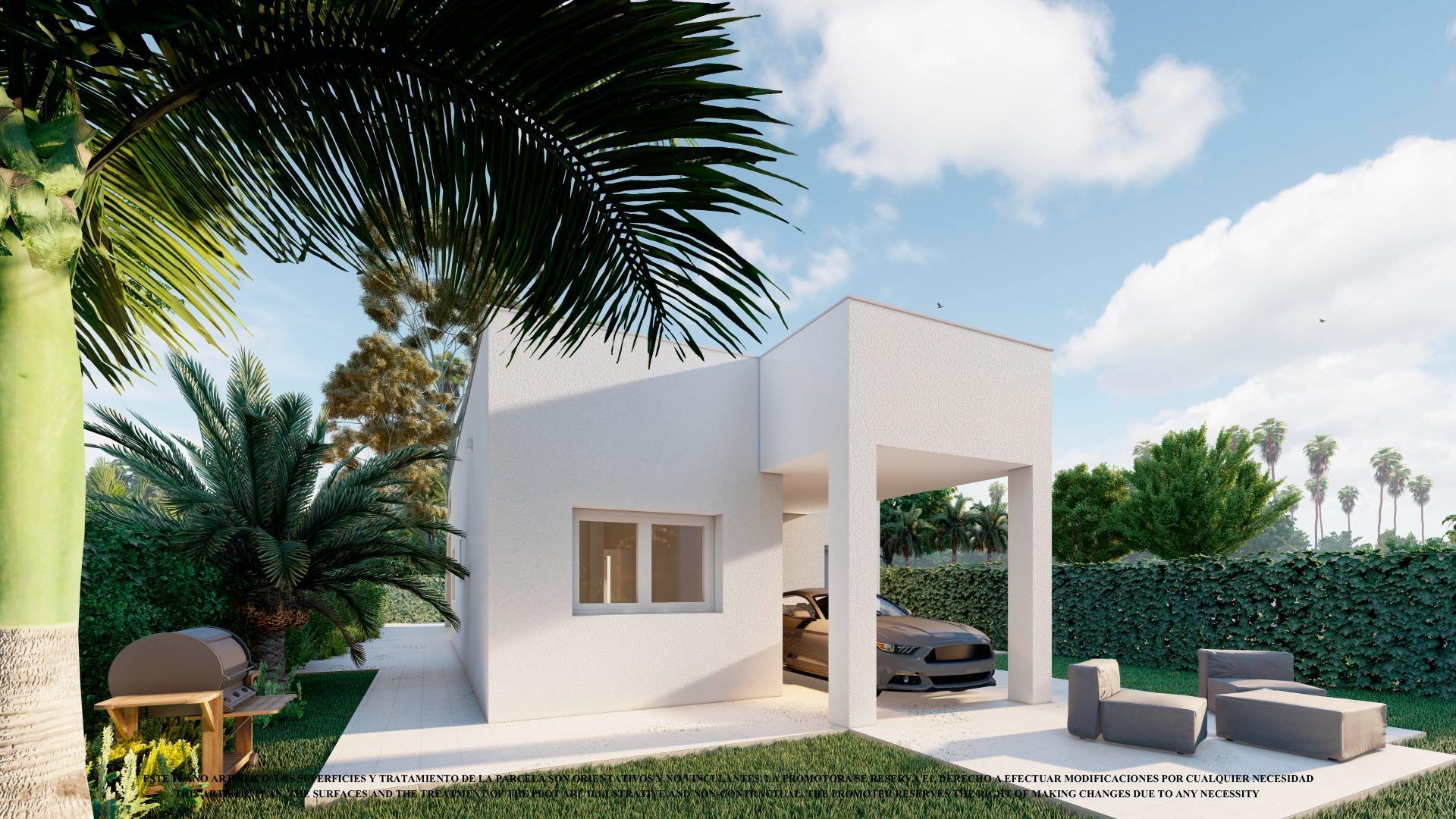 NOWE WILLE W LOS ALCAZARES — 2