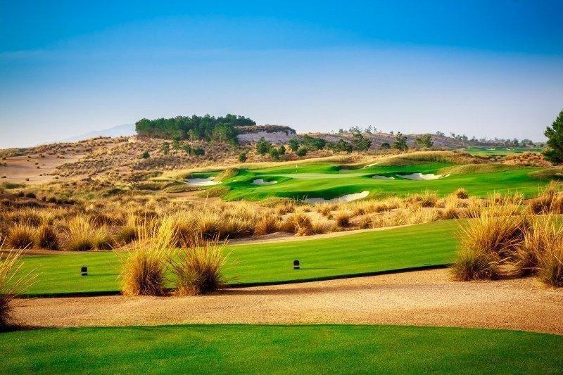 NOWY BUDYNEK WILLE W CONDADO DE ALHAMA POLE GOLFOWE — 5