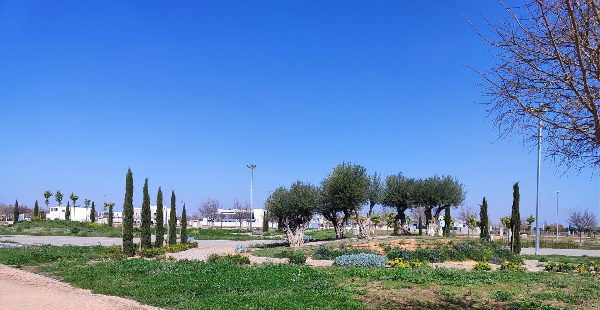 NEW BUILD PENTHOUSES IN TORRE-PACHECO — 10