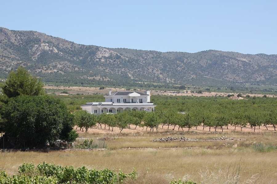 VILLAS NEUVES A PINOSO — 15