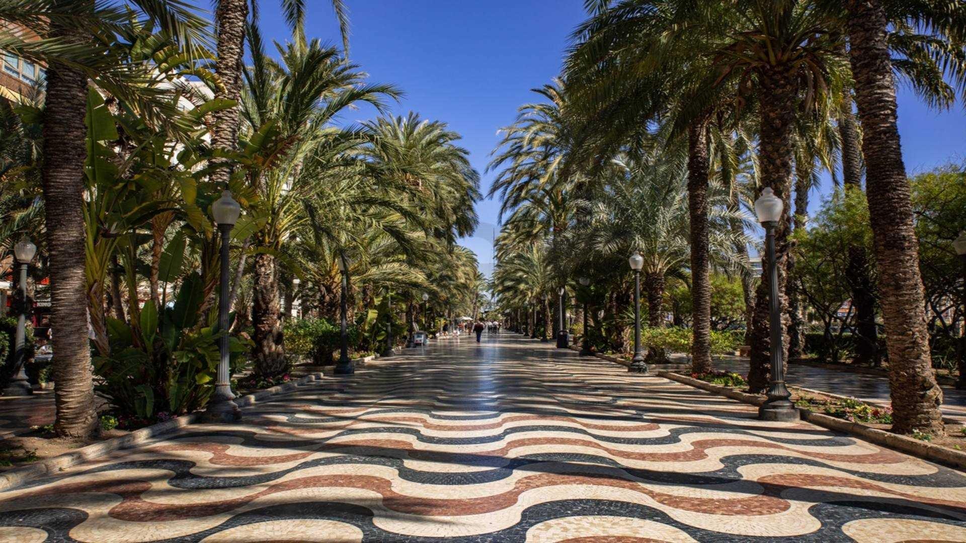 APARTAMENTOS DE OBRA NUEVA EN ALICANTE CIUDAD — 12