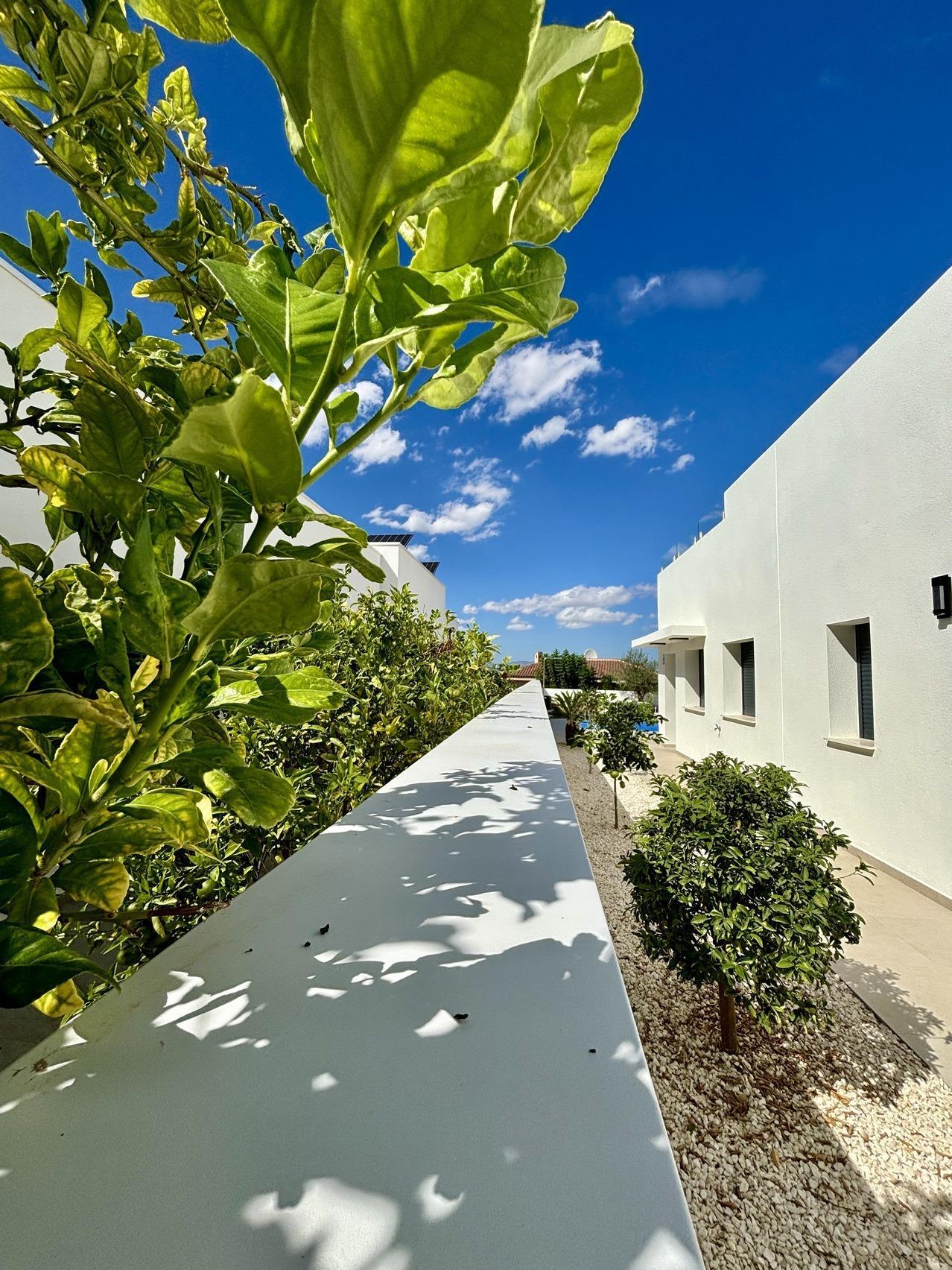 New Build Mediterranean Villas in Benijófar — 6