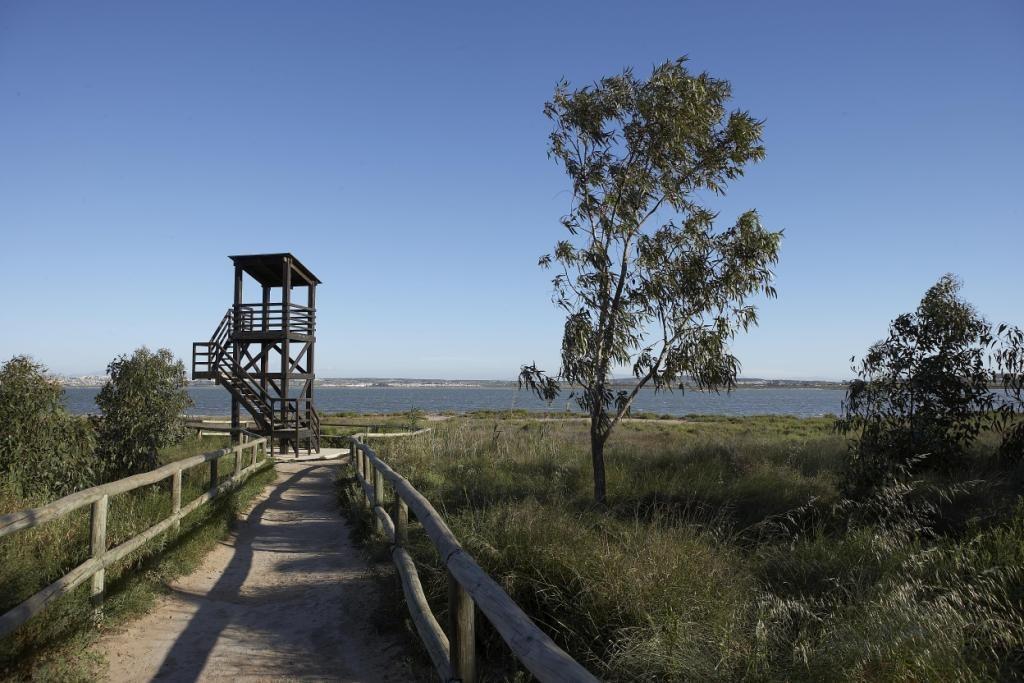 New Residential Development in Torrevieja, Just 1 km from the Sea — 3