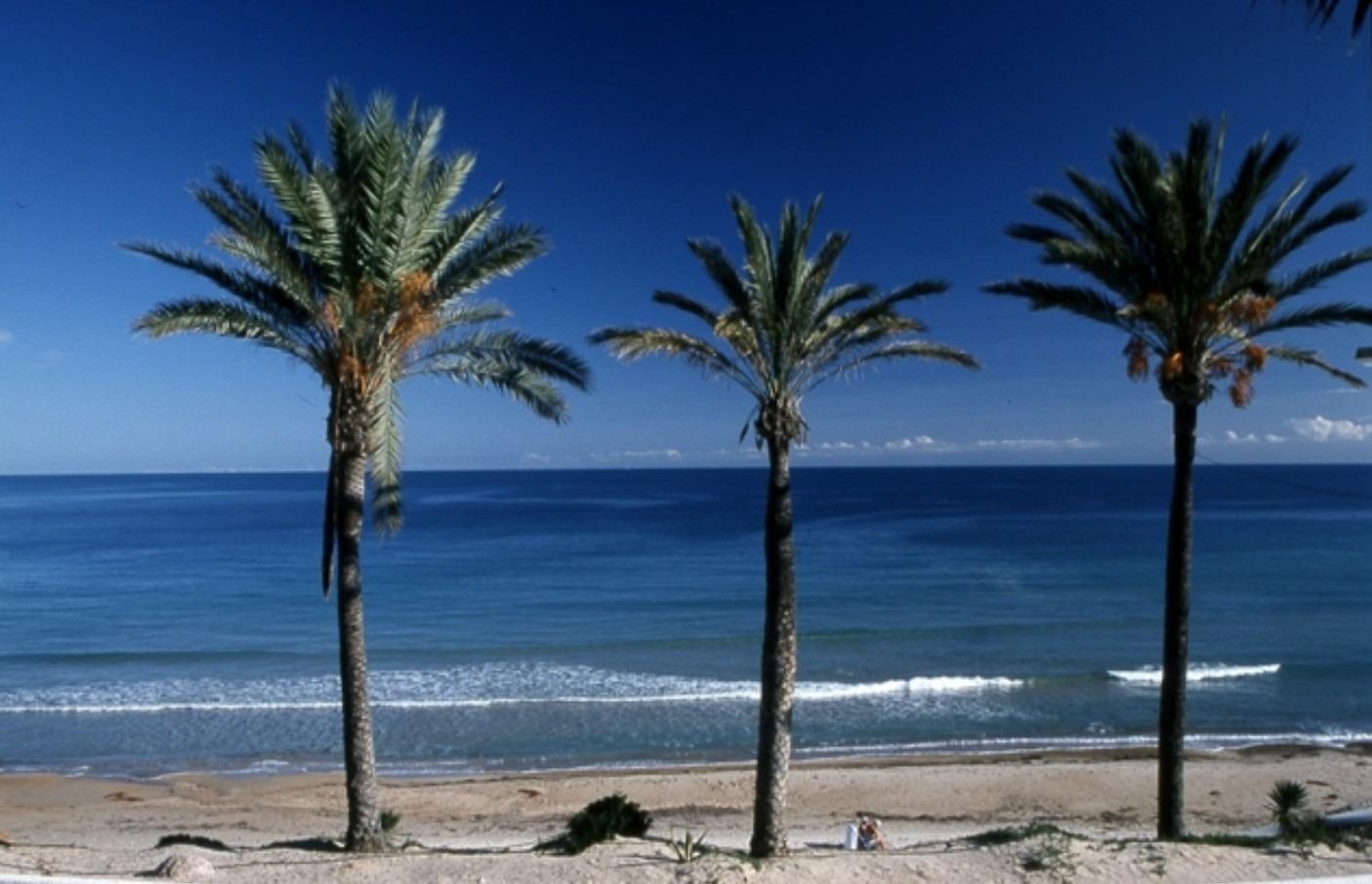 Exklusive Neubaubungalows in Pilar de la Horadada - Einzigartiger Stil und privilegierte Lage — 9