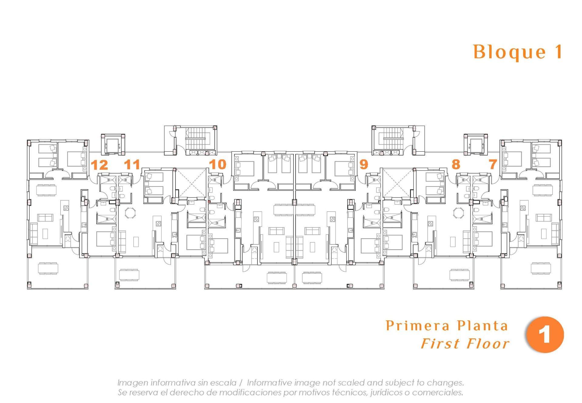 New Residential Development in San Miguel de Salinas — 9
