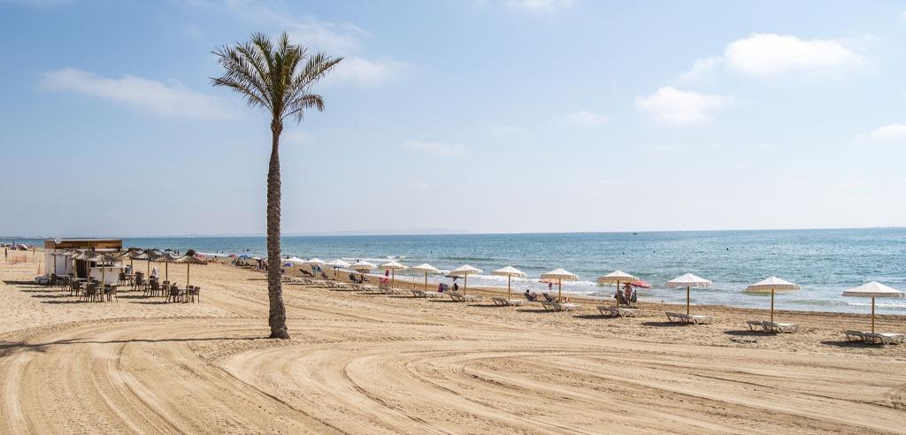 New Development Apartments in Central Guardamar del Segura, Costa Blanca — 15