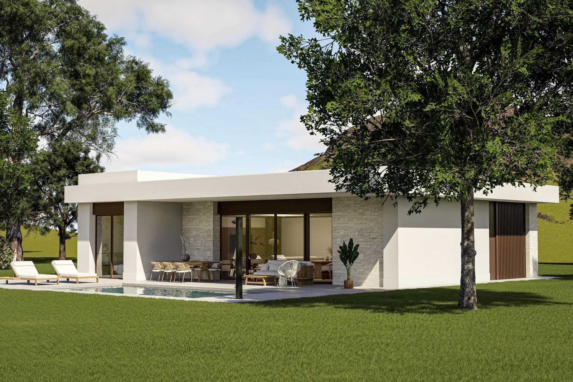 Villas neuves sur mesure à Pinoso (Alicante) : des demeures spacieuses dans un cadre naturel — 2